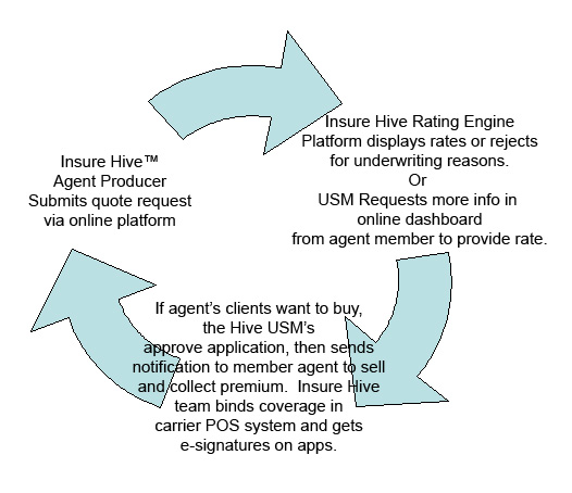 Insure Hive Bind Now Feature